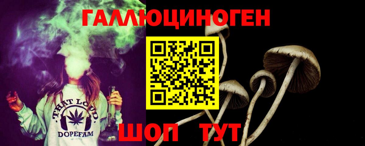 Назарово  Галлюциногенные грибы Psilocybe  Галлюциногенные грибы Cubensis  Вход с VPN 