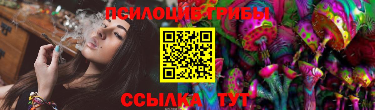 Псилоцибиновые грибы GOLDEN TEACHER Назарово